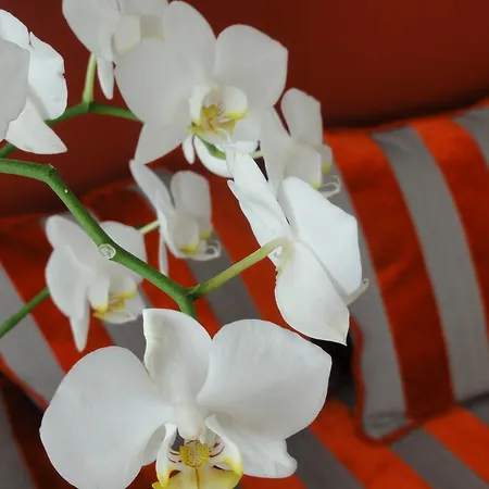 فندق Itsas Mendia بيدار