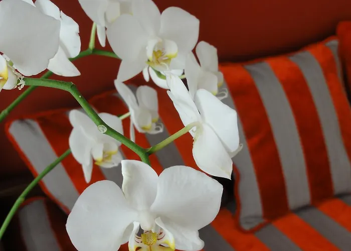 מלון Itsas Mendia בידאר